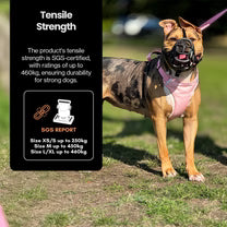 Hundesele med magnetlås – Patentert & enkel i bruk | OurDogsLife™