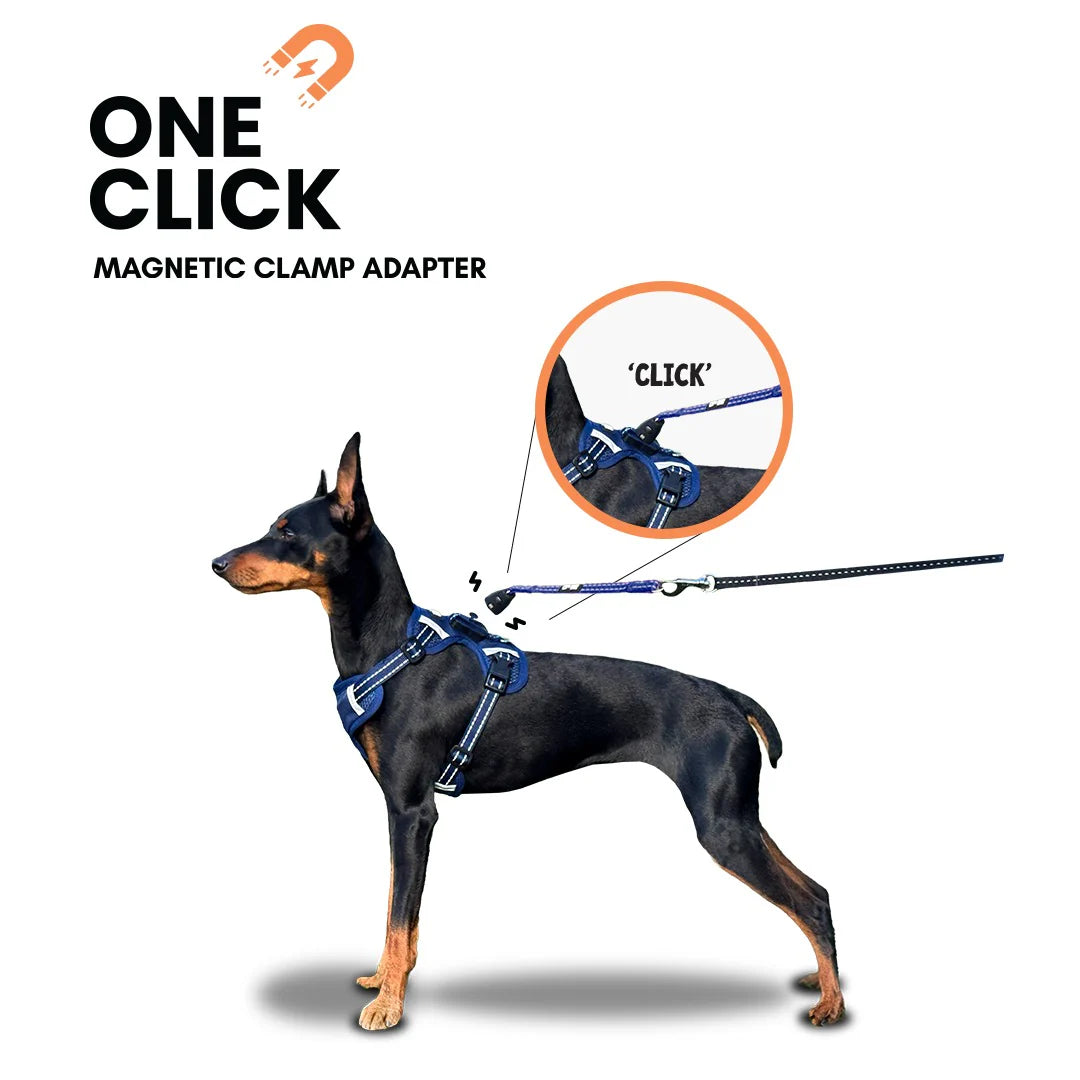 Hundesele med magnetlås – Patentert & enkel i bruk | OurDogsLife™