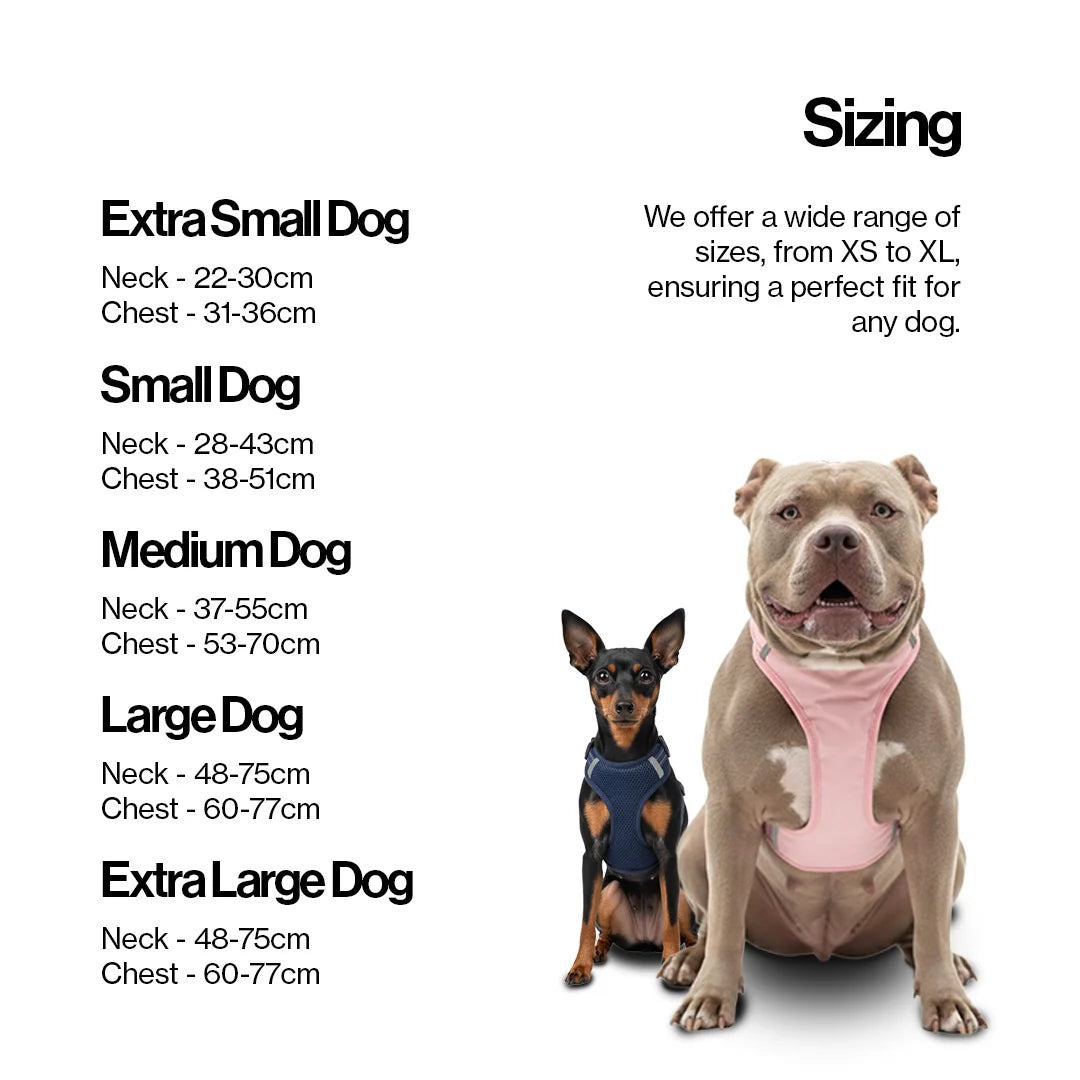 Hundesele med magnetlås – Patentert & enkel i bruk | OurDogsLife™